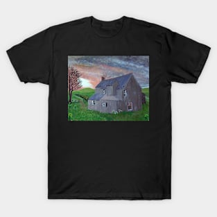 Ruins in the Prescilly Hills T-Shirt